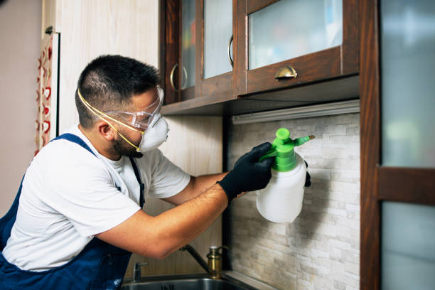 Best Best Pest Control Companies  in Newpt, OR