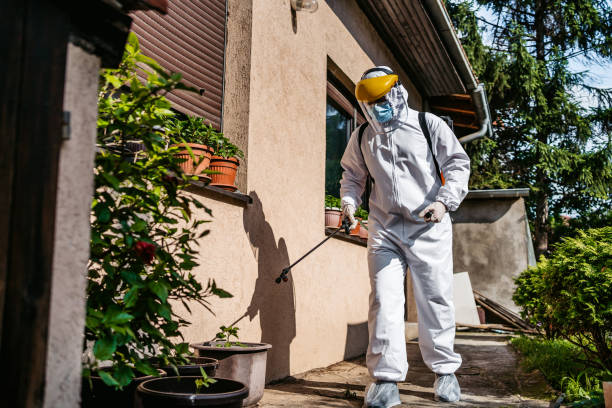 Best Termite Control Services  in Newpt, OR