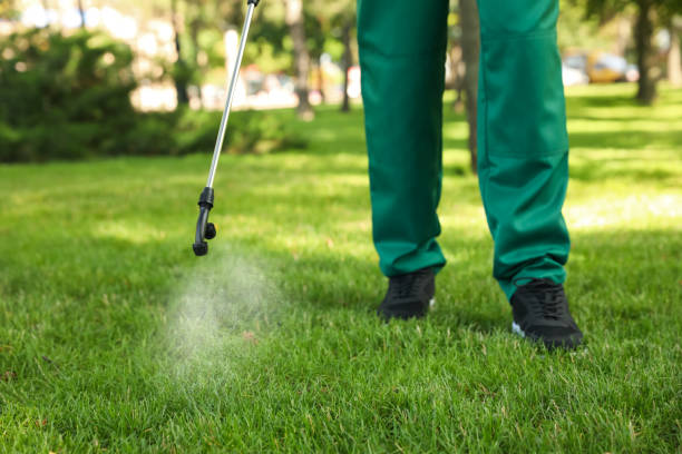 Best Affordable Pest Control Services  in Newpt, OR