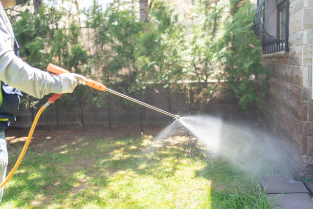 Reliable Newport, OR Pest Control Solutions