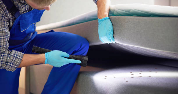 Best Mosquito Control Services  in Newpt, OR