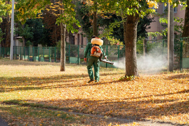 Best Bed Bug Extermination  in Newpt, OR