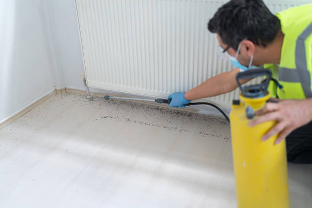 Best Emergency Pest Control  in Newpt, OR
