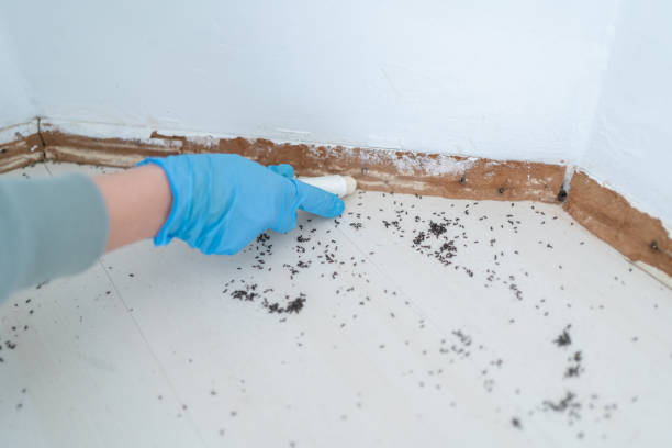Best Wildlife Control Services  in Newpt, OR